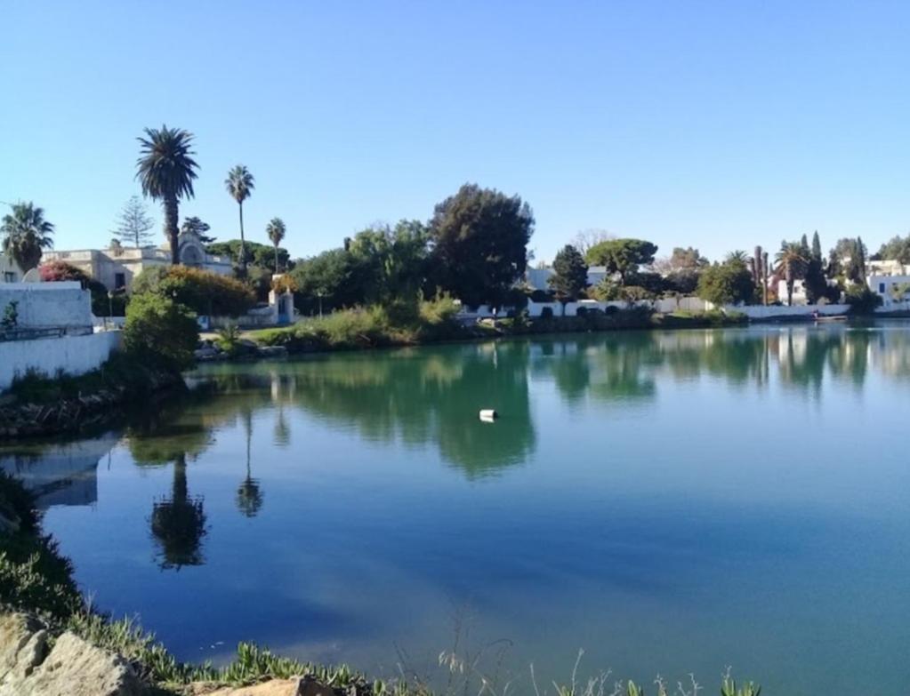 Appartement Num3 Carthage Byrsa Douar ech Chott Eksteriør billede